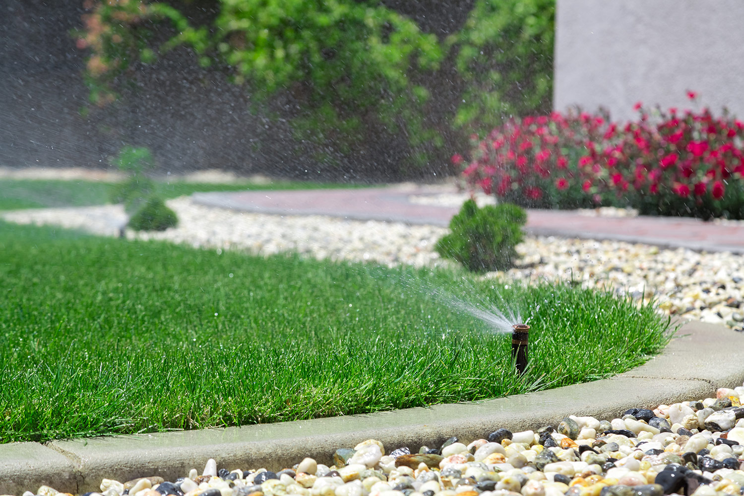A pop-up irrigation sprinkler watering a manicured green lawn with stone edging