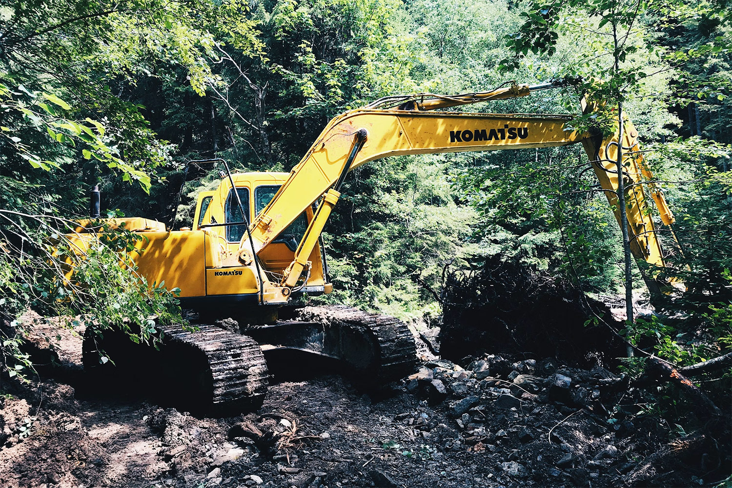 A tracked excavator clearing trees and brush in a wooded area